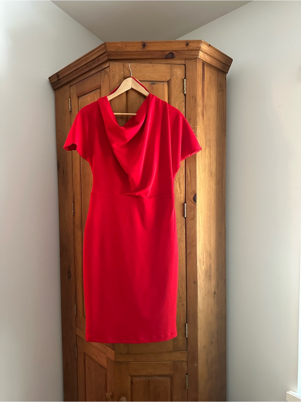 Red Draped Neck Sheath Dress - Women (L)